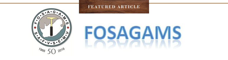 Featured Article Fosagams 3